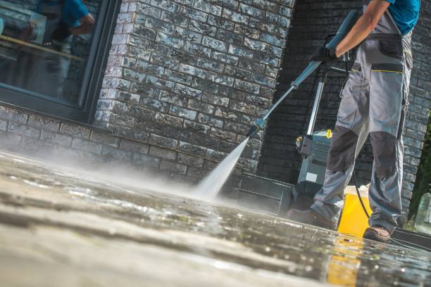 Best Vinyl Siding Pressure Washing in Willis, TX