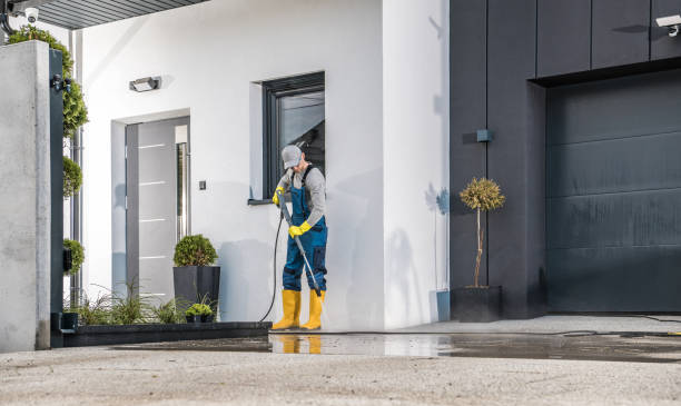 Best Window and Screen Pressure Cleaning in Willis, TX
